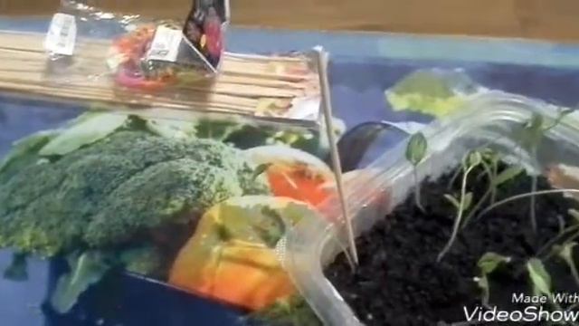 Подвязывание помидор смотреть онлайн