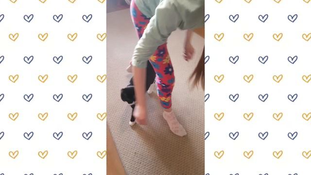 Без кота жизнь не та!#2😹 смотреть онлайн