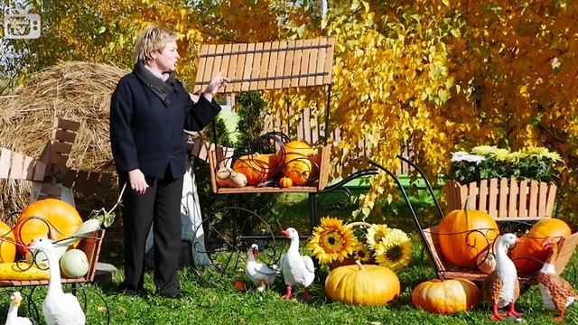 Где купить садовый декор? ? Декоративные тележки и мельницы ➡ Интернет магазин hitsad.ru покупки смотреть онлайн