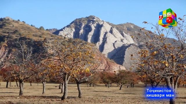 Минтақаи саёҳи Сари Хосор. Туристические уристический места Сари Хосор. Sari Khosor National Park