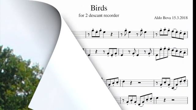 A. Bova, Birds n. 1, for 2 descant recorders смотреть онлайн