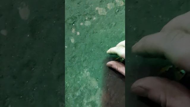 уложил спать бабочку смотреть онлайн