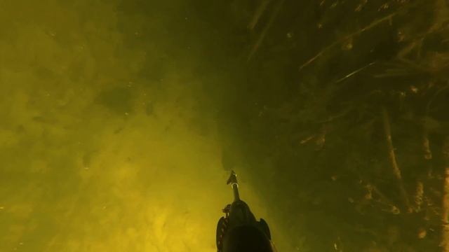 Редкий сом река Воронеж 2022 смотреть онлайн