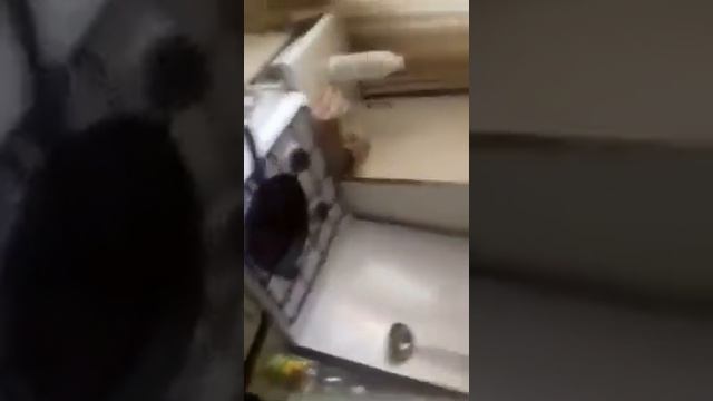 Что будет если в раскаленное масло налить воду смотреть онлайн