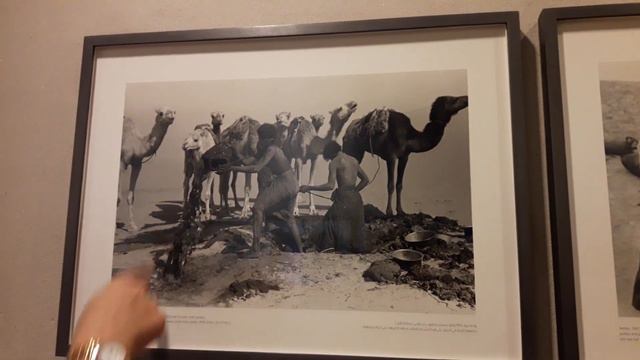 ВЕЛИКИЙ НЕИЗВЕСТНЫЙ ПУТЕШЕСТВЕННИК/УИЛФРЕД ТЕСИДЖЕР И ЕГО ПУСТЫНЯ смотреть онлайн