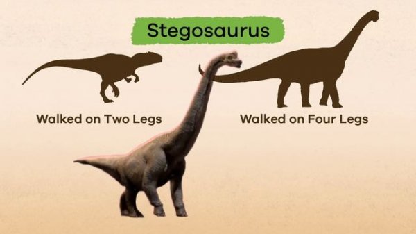 Dinosaur Facts for Kids | Dinosaurs | Learn cool facts about the Age of Reptiles