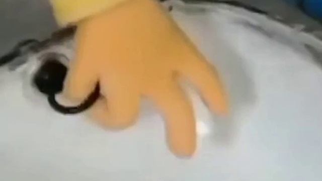 Видео,приколы,юмор,смех смотреть онлайн
