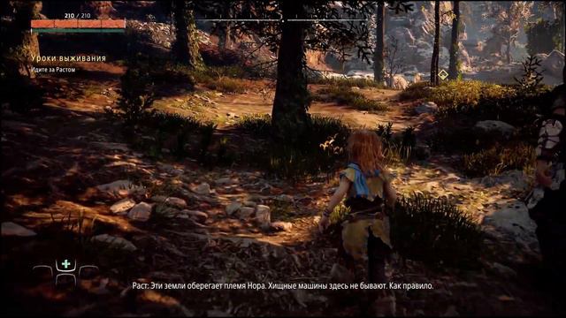 Прохождение Horizon Zero Dawn Complete Edition — Часть 1: ЭЛОЙ-ИЗГОЙ смотреть онлайн