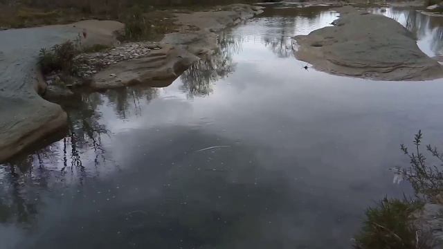 #рыбалка #голавль #река Ловля головля на спиннинг. смотреть онлайн