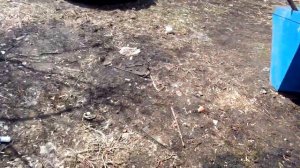 Какие проблемы при разборе бортовой задней Т-40