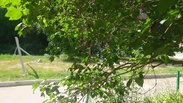 Видео снято на Xperia Z5 Premium 4 К смотреть онлайн