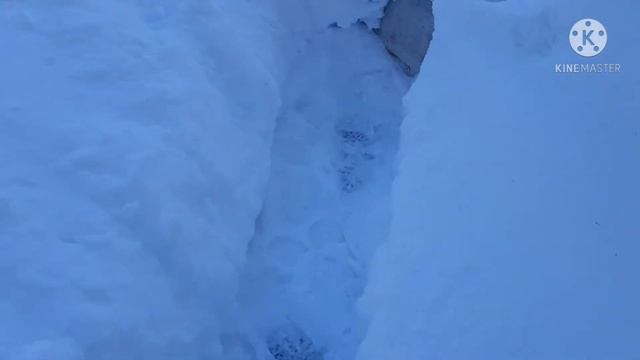 Весна начинается,ездили проверить дачу..Сделали коту маникюр..Сургут 2021 смотреть онлайн