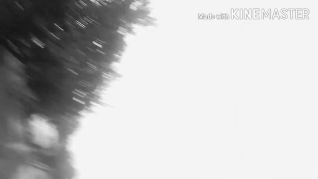 КУПИЛ СЕБЕ НОВЫЙ ТРЮКОВОЙ САМОКАТ, АБЗОР, НЕМНОГО ТРЮКОВ, СМЕШНЫЕ МОМЕНТЫ!!! смотреть онлайн