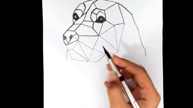 Geometric Dog Drawing || Geometric Art || Zentangle Art