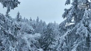 Расслабляющая рождественская атмосфера ? Рождественская музыка 2024, Рождественские гимны