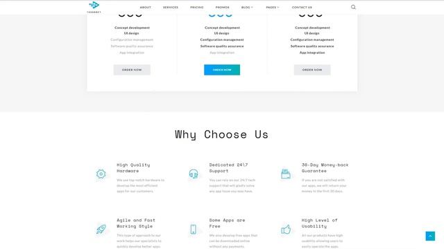 TechSoft - Software Development Studio Website Template - 50729 смотреть онлайн