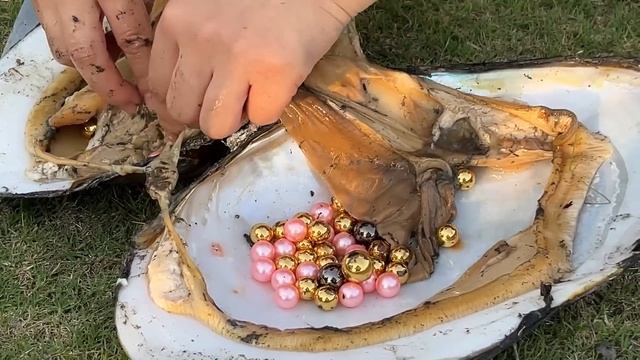 pearl hunters /Amazed have never seen such perfect pink pearls, blue pearls are also beautiful смотреть онлайн