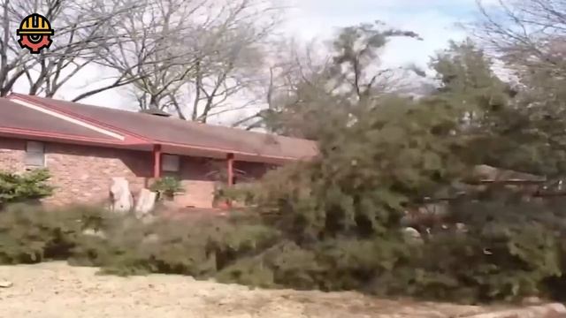 Dangerous Fastest Cutting Tree Fails Skill With Chainsaw, Tree Falling on Houses Compilation смотреть онлайн