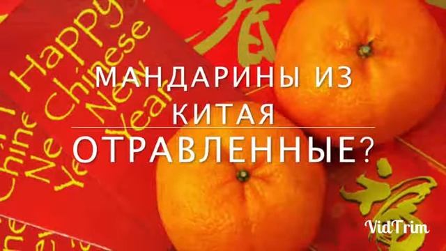 Посмотрев это видео Вы больше никогда не будете есть мандарины из Китая! смотреть онлайн