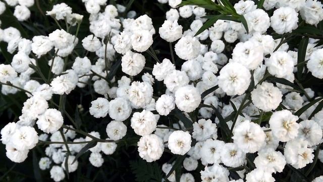 Магия Утра #медитацияутро#мотивация#пробуждение#магияутра