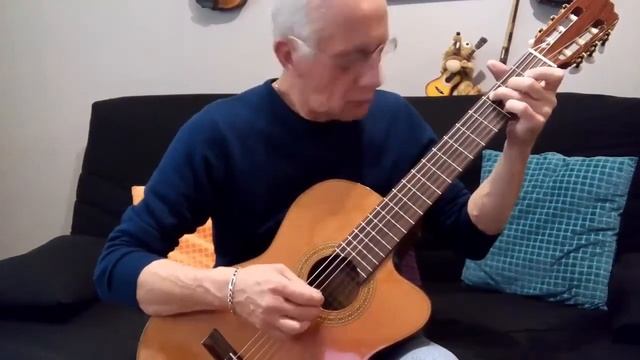 Dirty Dancing.She's like the wind ( Arrangement guitare solo:Philippe Barrilliez) смотреть онлайн