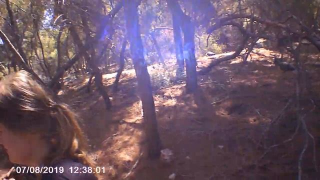 Остров животных Греция 7 смотреть онлайн