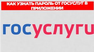 КАК УЗНАТЬ ПАРОЛЬ ОТ ГОСУСЛУГ В ПРИЛОЖЕНИИ