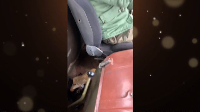 Маша за рулём шишиги 🥰. Паша пэл смотреть онлайн