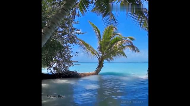 Бирюзовое море, пальмы\релакс\позитив❤Turquoise sea, palm trees \ relax \ positive👍 смотреть онлайн