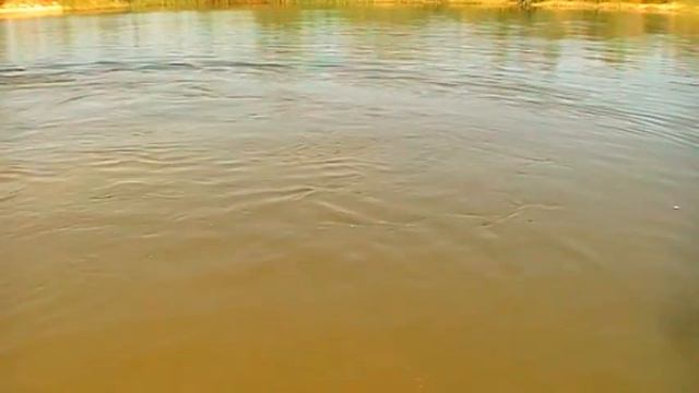 КАК РЕАЛЬНО ПОМОЧЬ ПРИ ГАЙМОРИТЕ, АЛЛЕРГИКАМ ( БРОНХИТ) 16.06.2018 смотреть онлайн