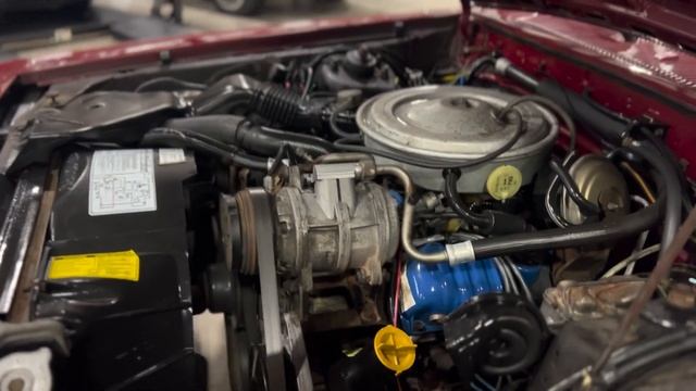 1982 Ford Thunderbird For Sale - Walk Around Video (5K Miles) смотреть онлайн