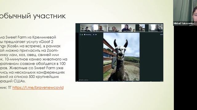 Вебинар Кризисная коммуникация: использование цифровых технологий для проведения мероприятий онлайн смотреть онлайн