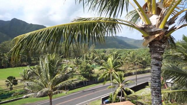 Test Flight to Inspect a Coconut Palm 2 смотреть онлайн