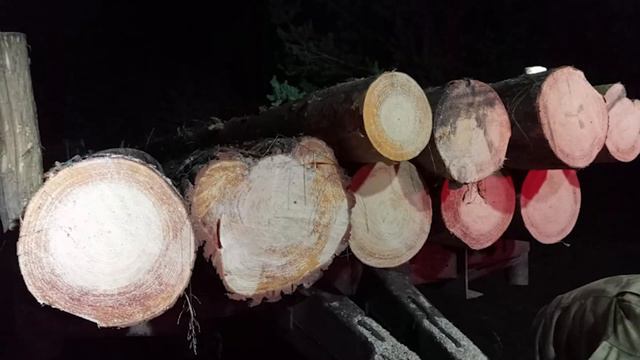 Криминальный спектр 28-09-2023 смотреть онлайн