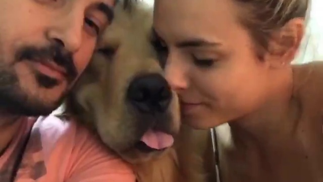 зацелованный смотреть онлайн