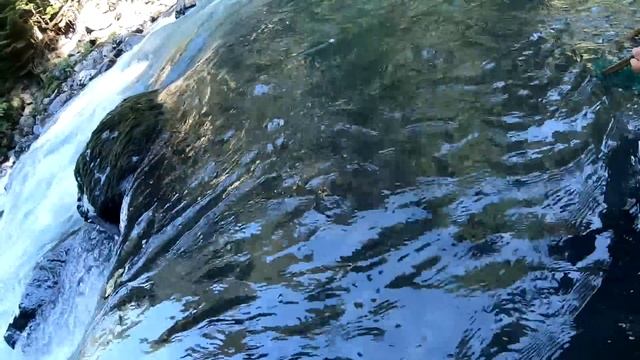Захватывает дух от рыбалки в таких местах! В поисках дикой форели смотреть онлайн