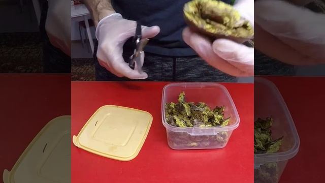 Струя бобра. смотреть онлайн