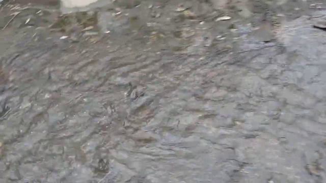 река Липовка - шум воды смотреть онлайн
