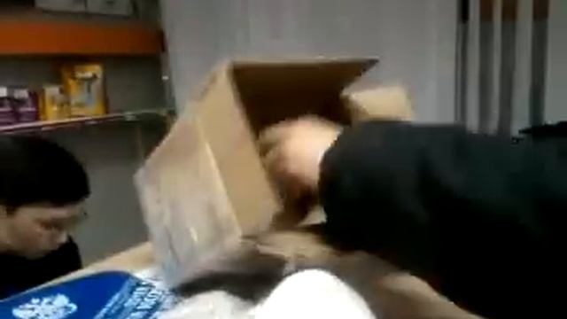 Таможня украла телефон