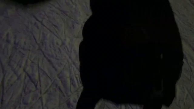 НОВОГОДНИЕ КАНИКУЛЫ ИЛИ САМЫЕ ШИКАРДОСНЫЕ МОМЕНТЫ КАНИКУЛ ЗА 10 МИНУТ смотреть онлайн