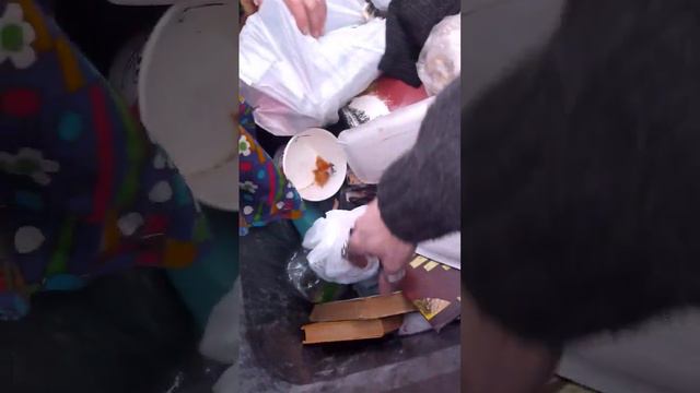 Книги выбросили в мусор👇Археология московских помоек 3 марта 2024🃏СВАО,Свиблово, Берингов пр-д, д.4