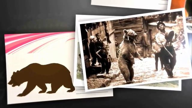 меня зовут медведь смотреть онлайн