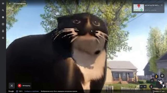 Escape from Maxwell the Cat on Google Earth! смотреть онлайн