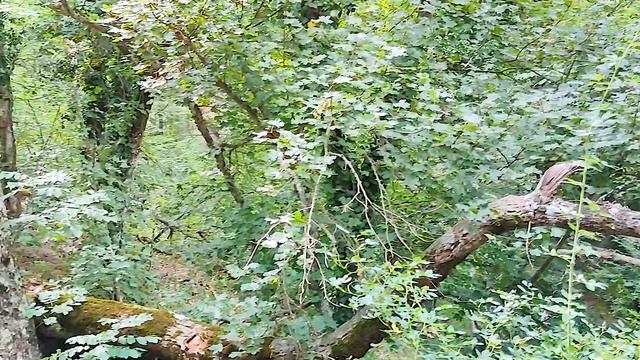 Горы, море, йога... смотреть онлайн