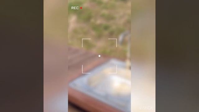 Владимирская обл. Суздальский р-н Богослово смотреть онлайн