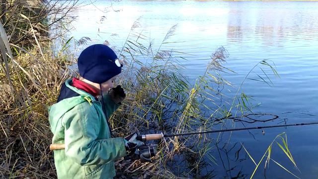 Электроугли. Каменский пруд. смотреть онлайн
