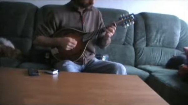 Mandolin tunes. The Old Grey Goose