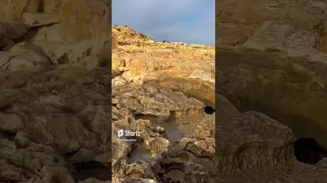 Кто со мной на рыбалку_?? #shorts #malta #walk #trend #2023 #new #video #тикток #tiktok #fishing