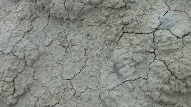 Охота на АКУЛ смотреть онлайн